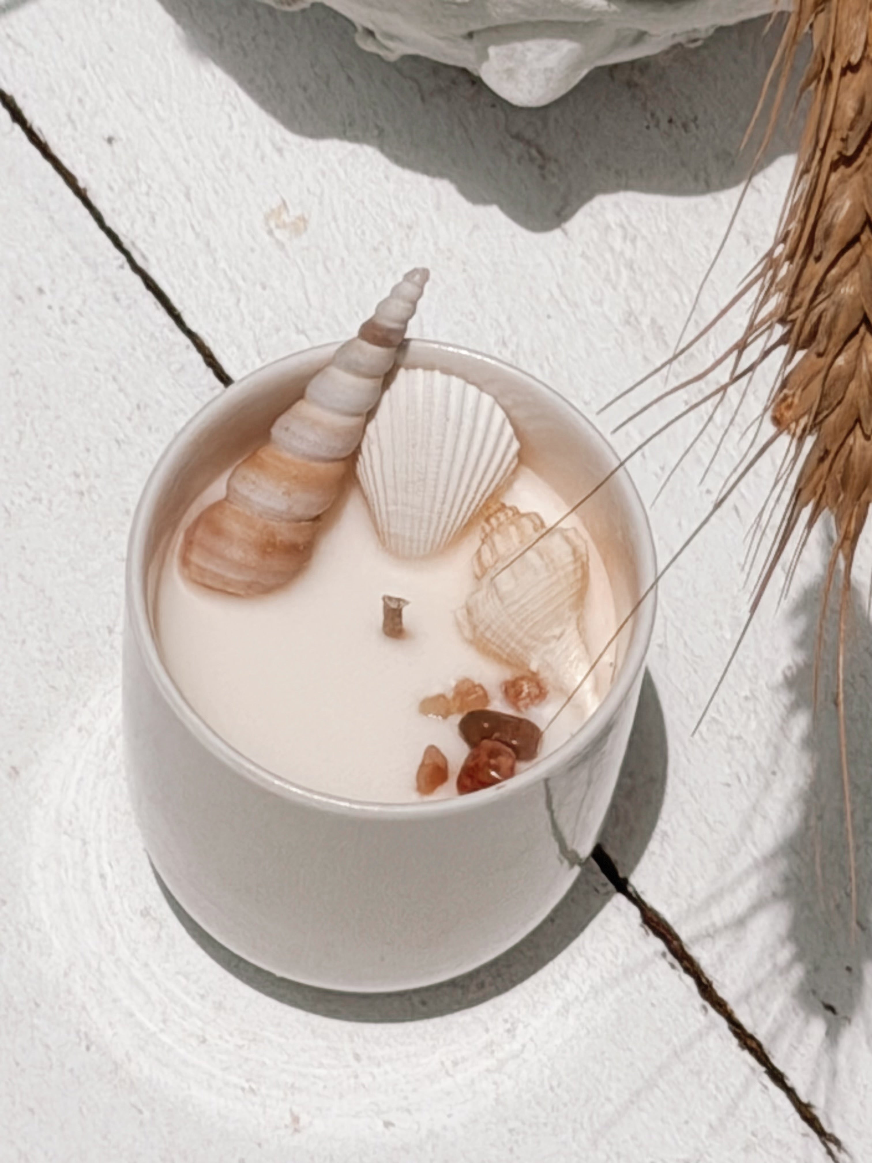 small seashell ceramic soy candle by | frangipani