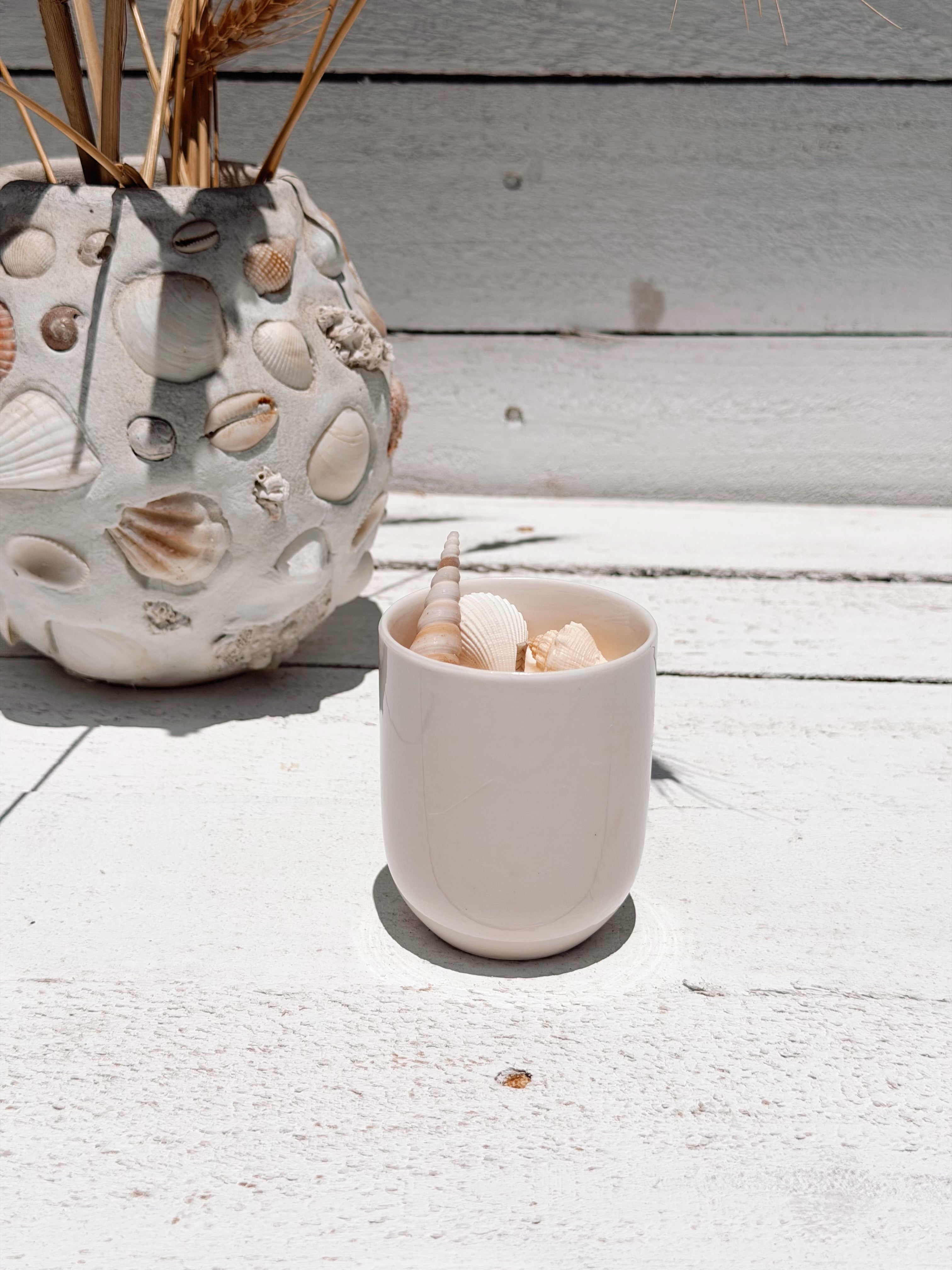 small seashell ceramic soy candle by | frangipani