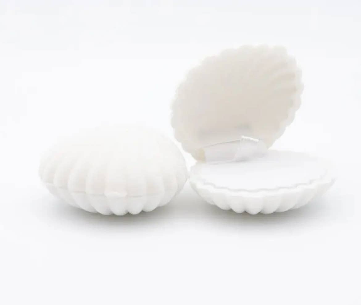 seashell jewellery box