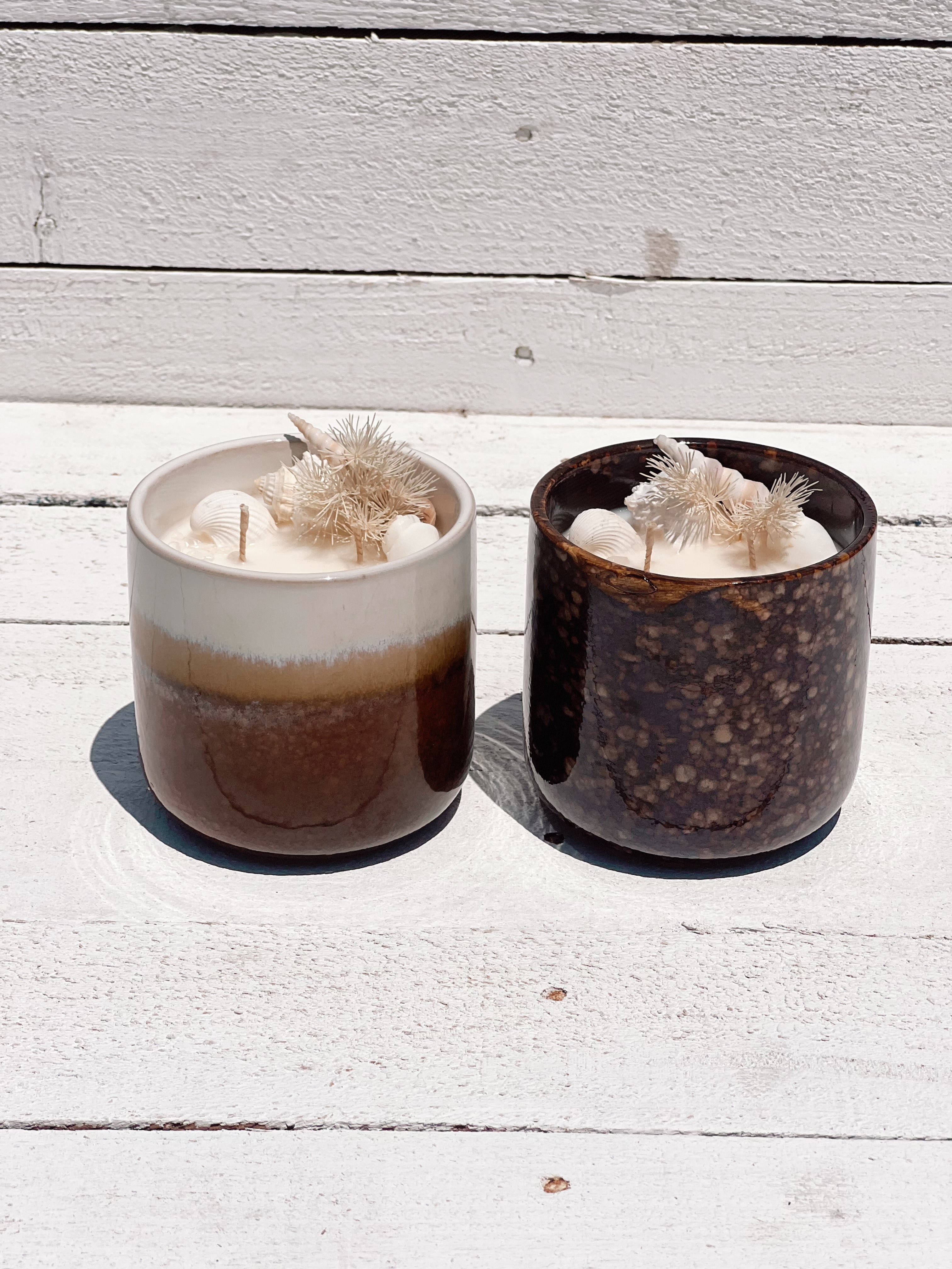 XL seashell ceramic soy candle