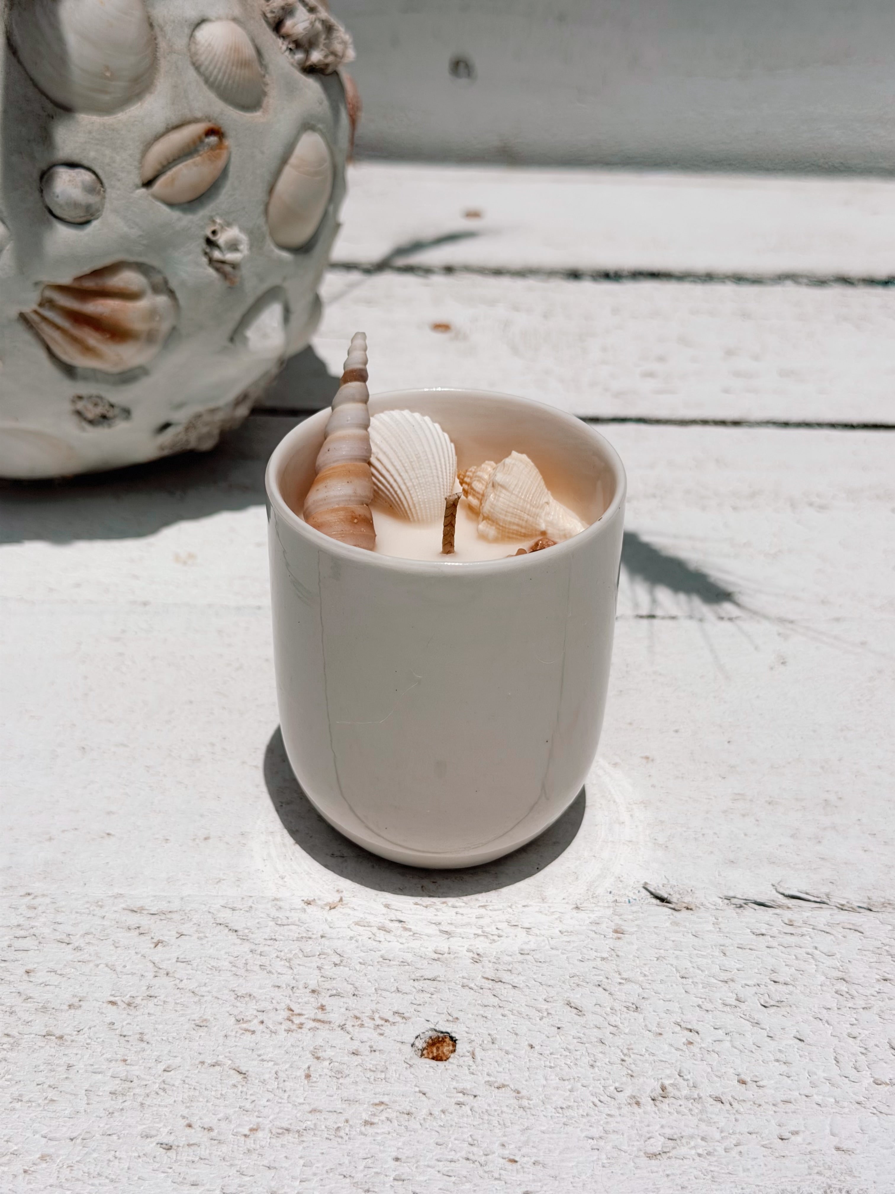 small seashell ceramic soy candle by | frangipani