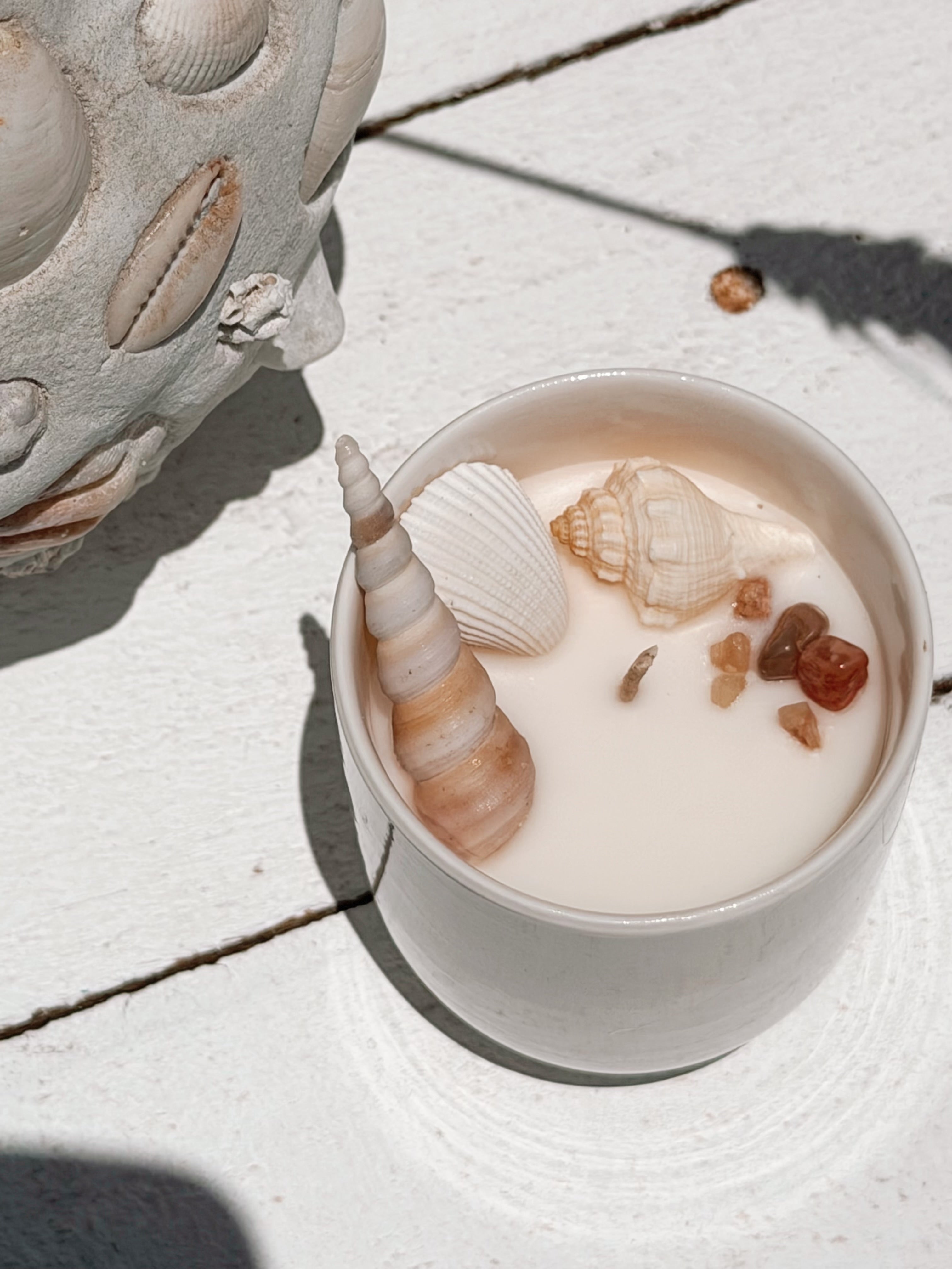 small seashell ceramic soy candle by | frangipani