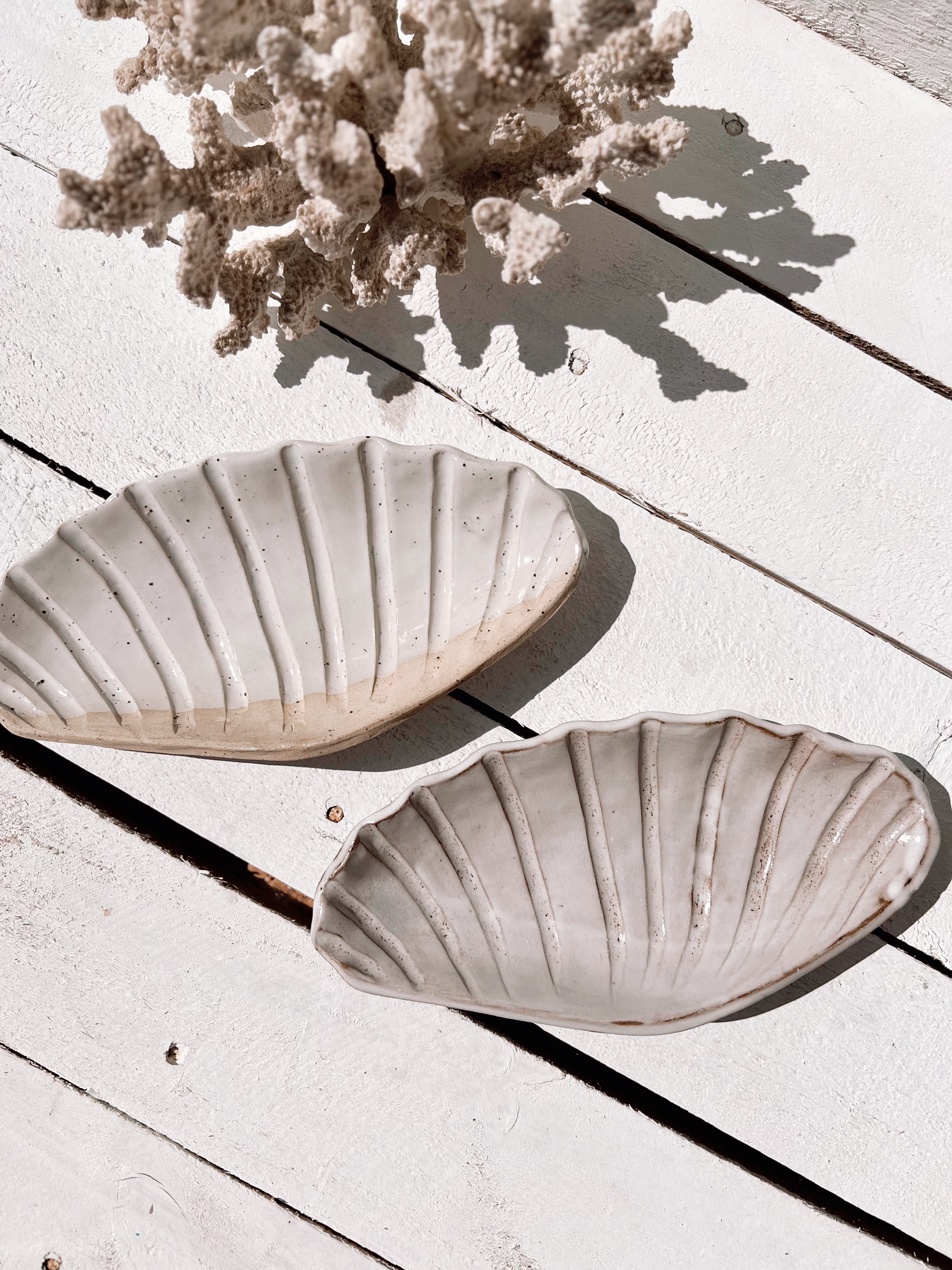 soleil seashell dish