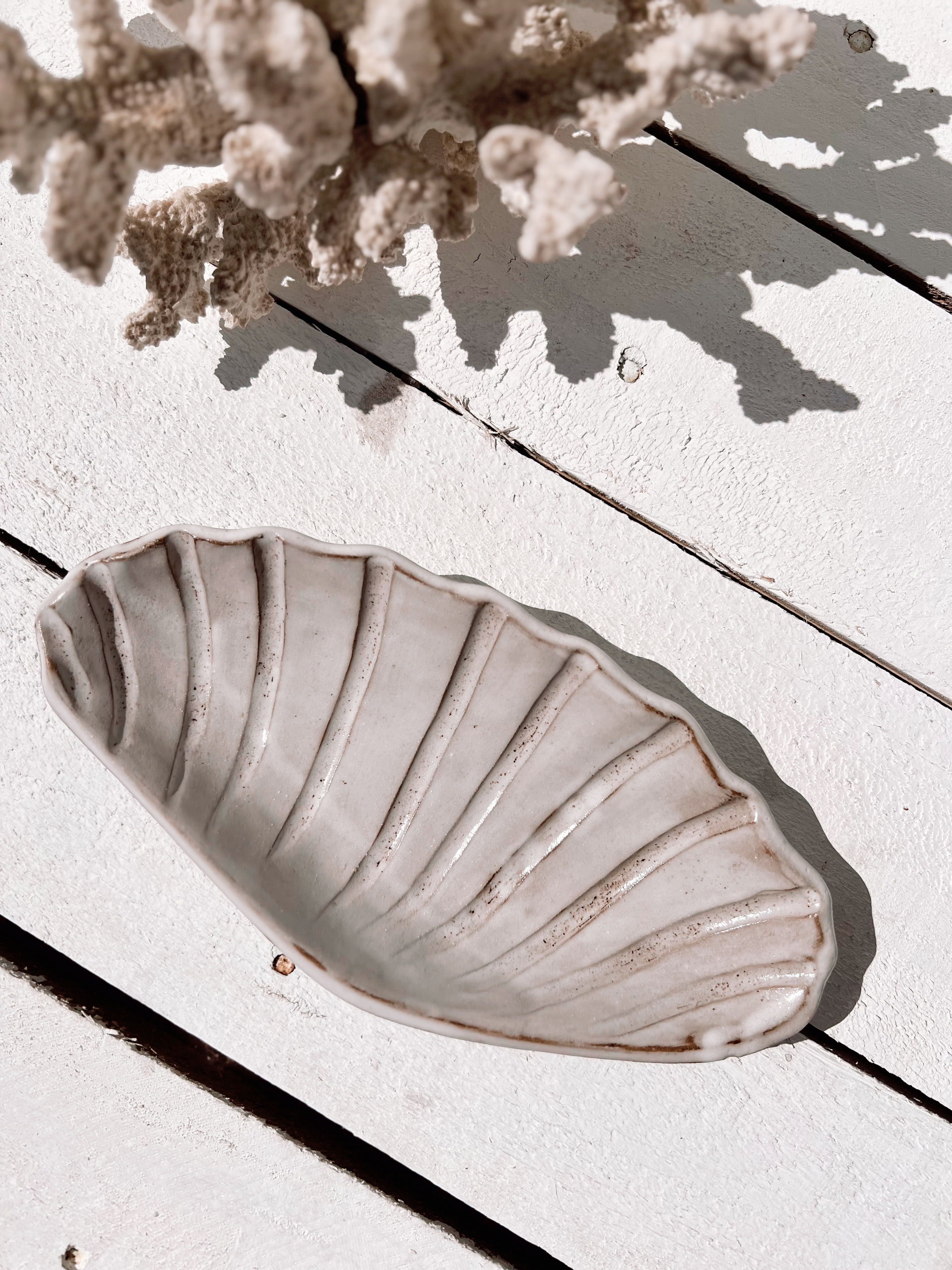 soleil seashell dish