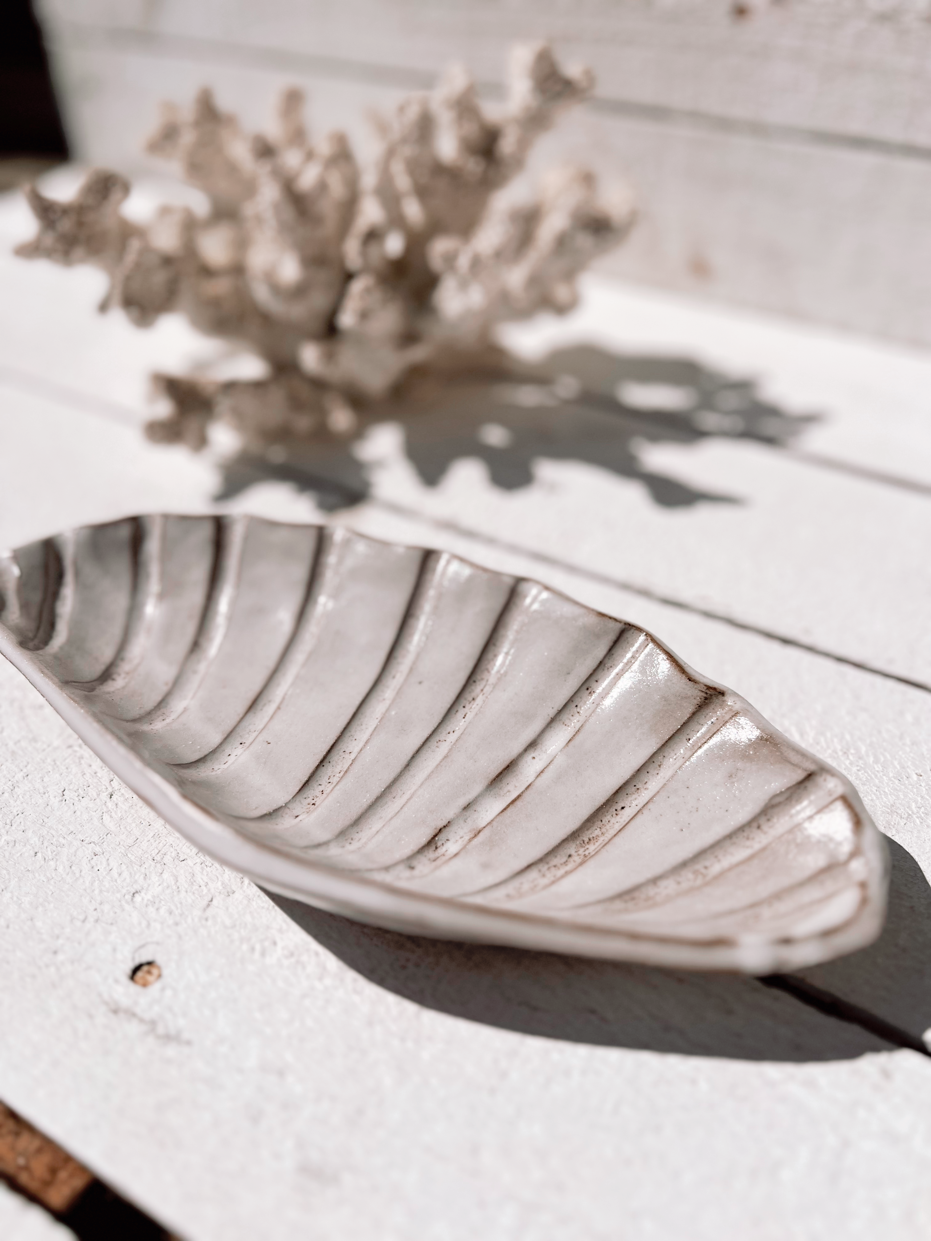 soleil seashell dish