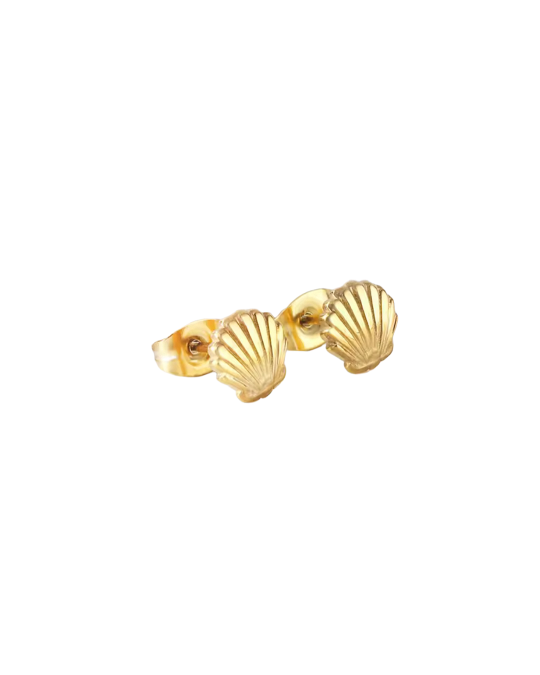 clam studs | yellow gold
