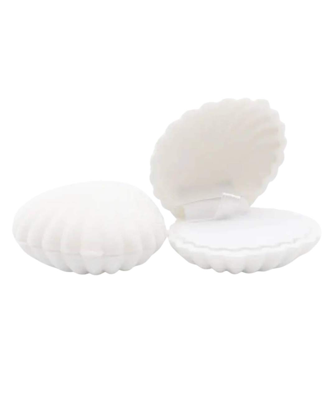 seashell jewellery box