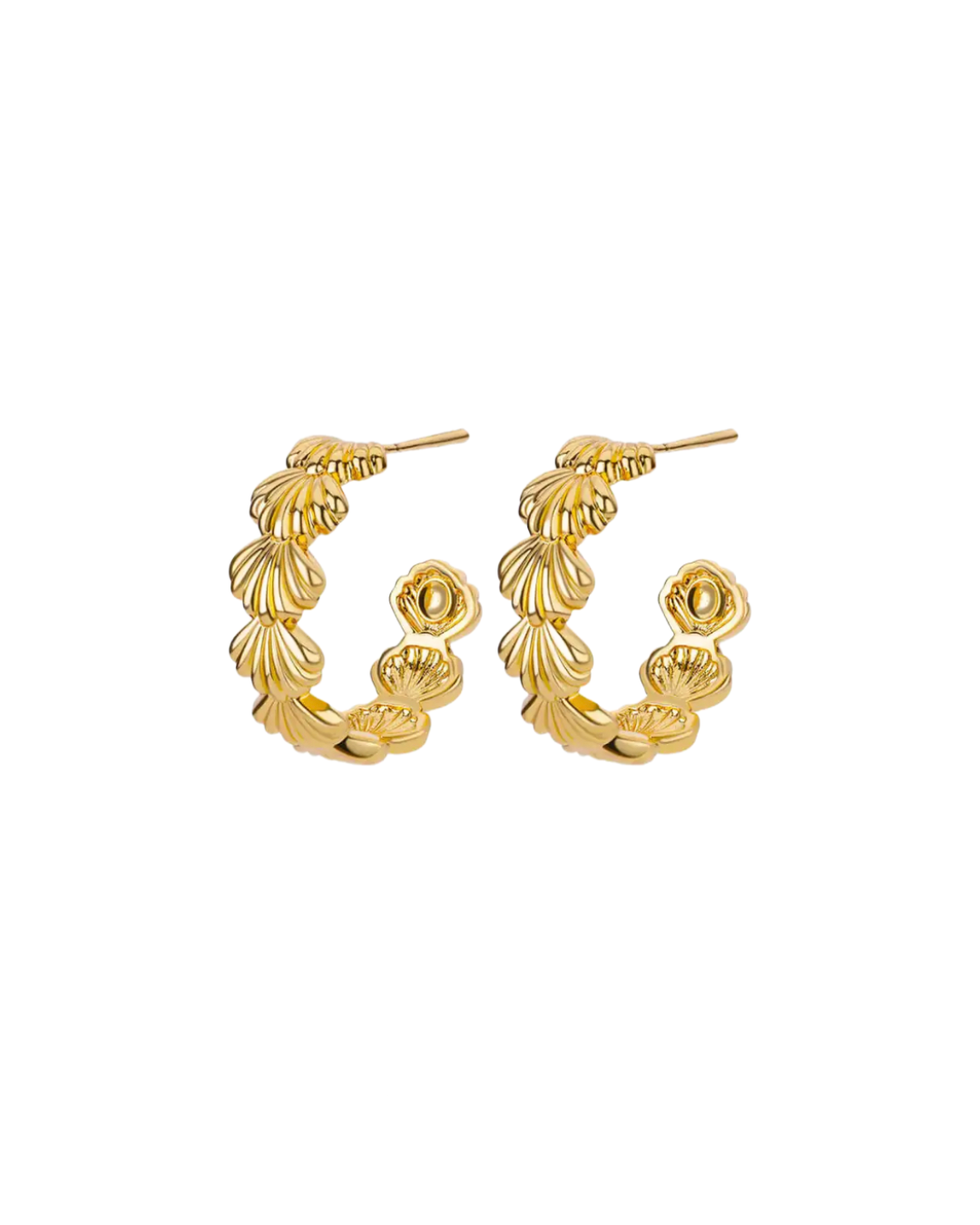 seashell earrings | yellow gold