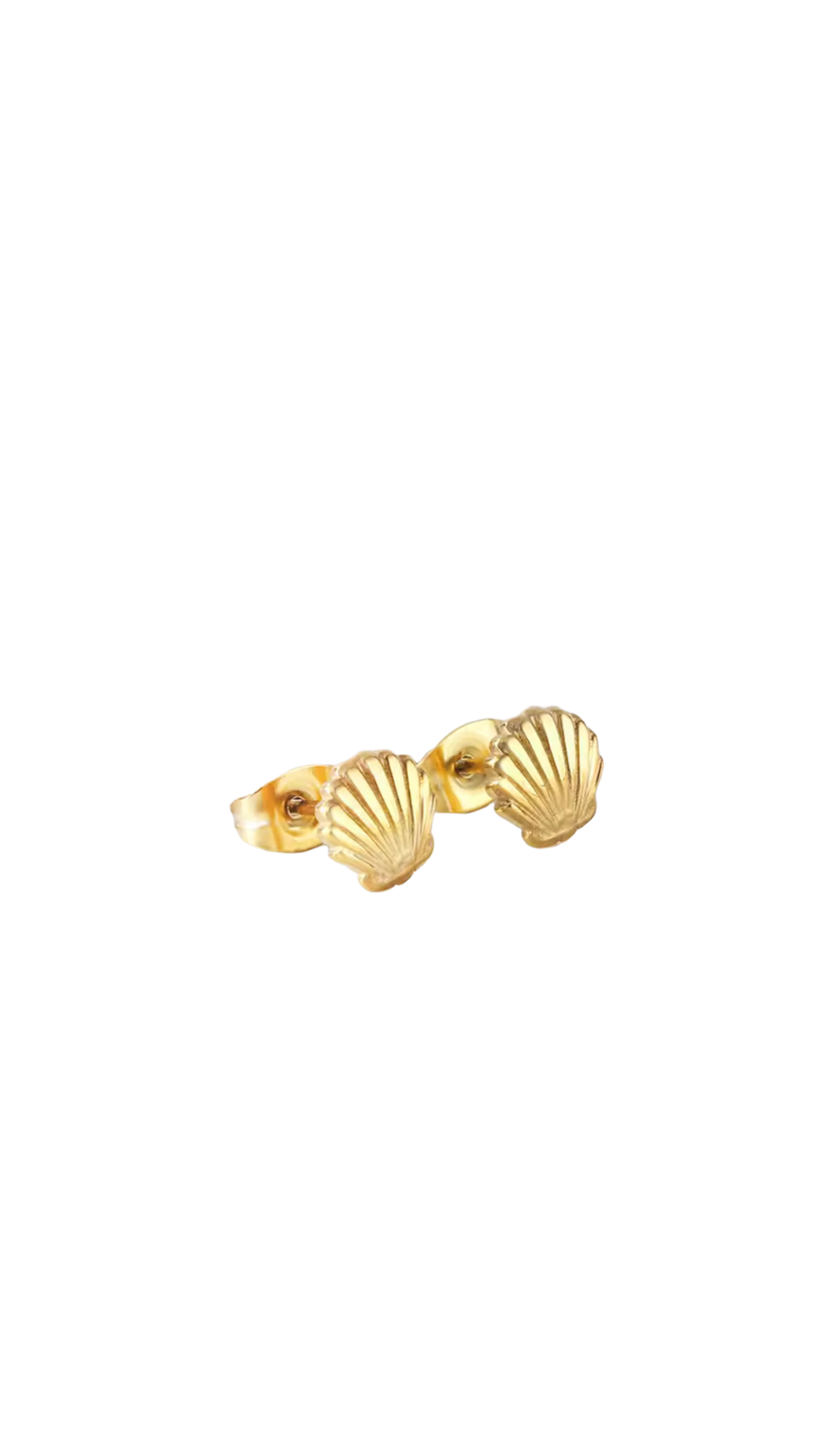 clam studs | yellow gold