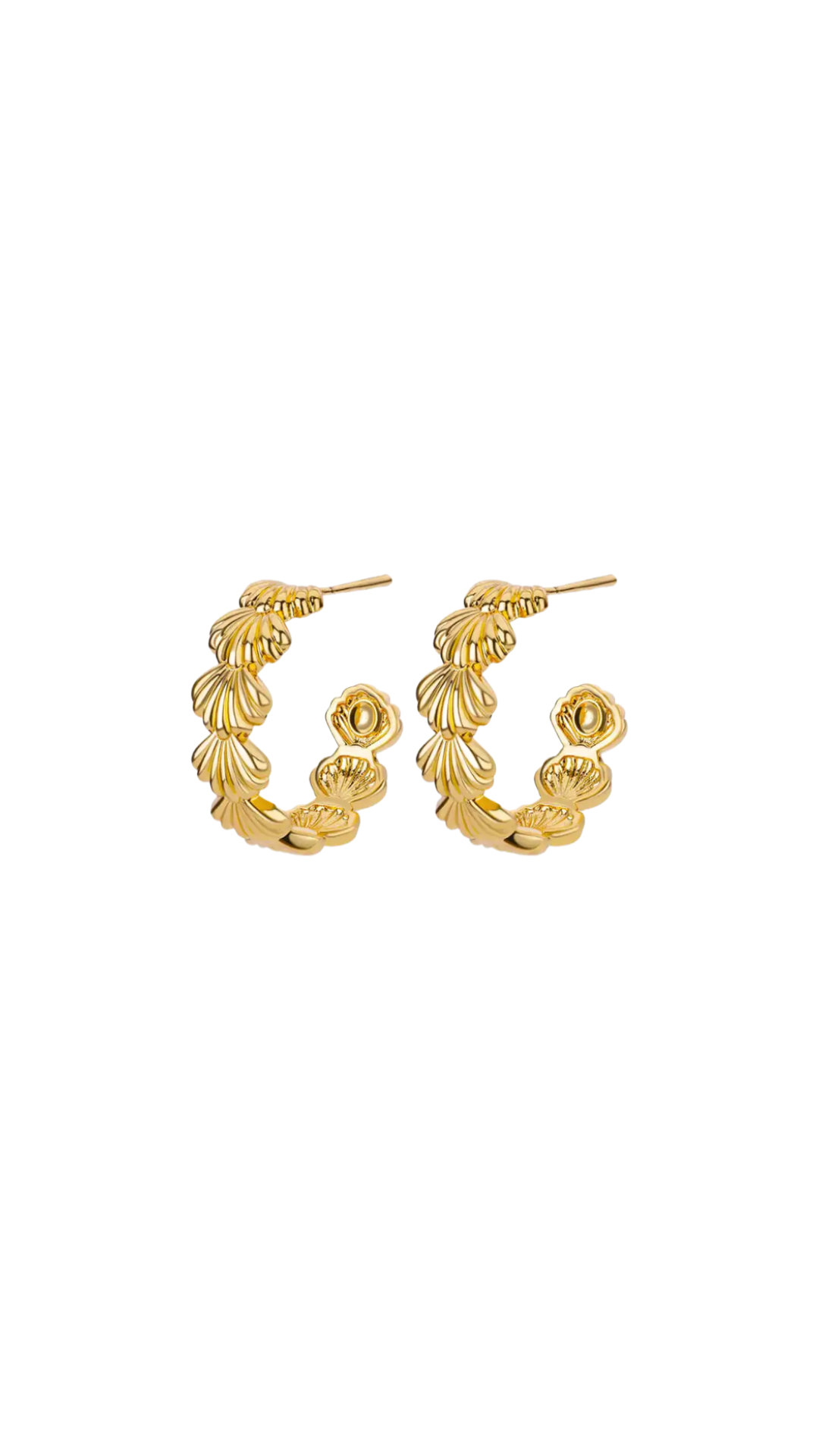 seashell earrings | yellow gold