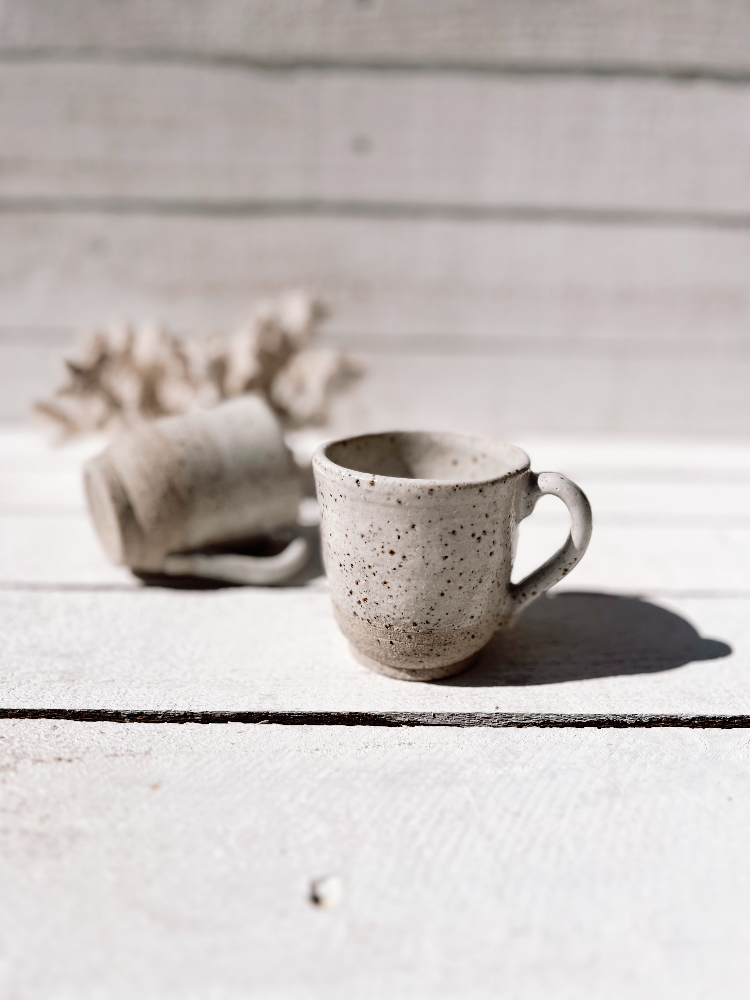 soleil mug set - speckled