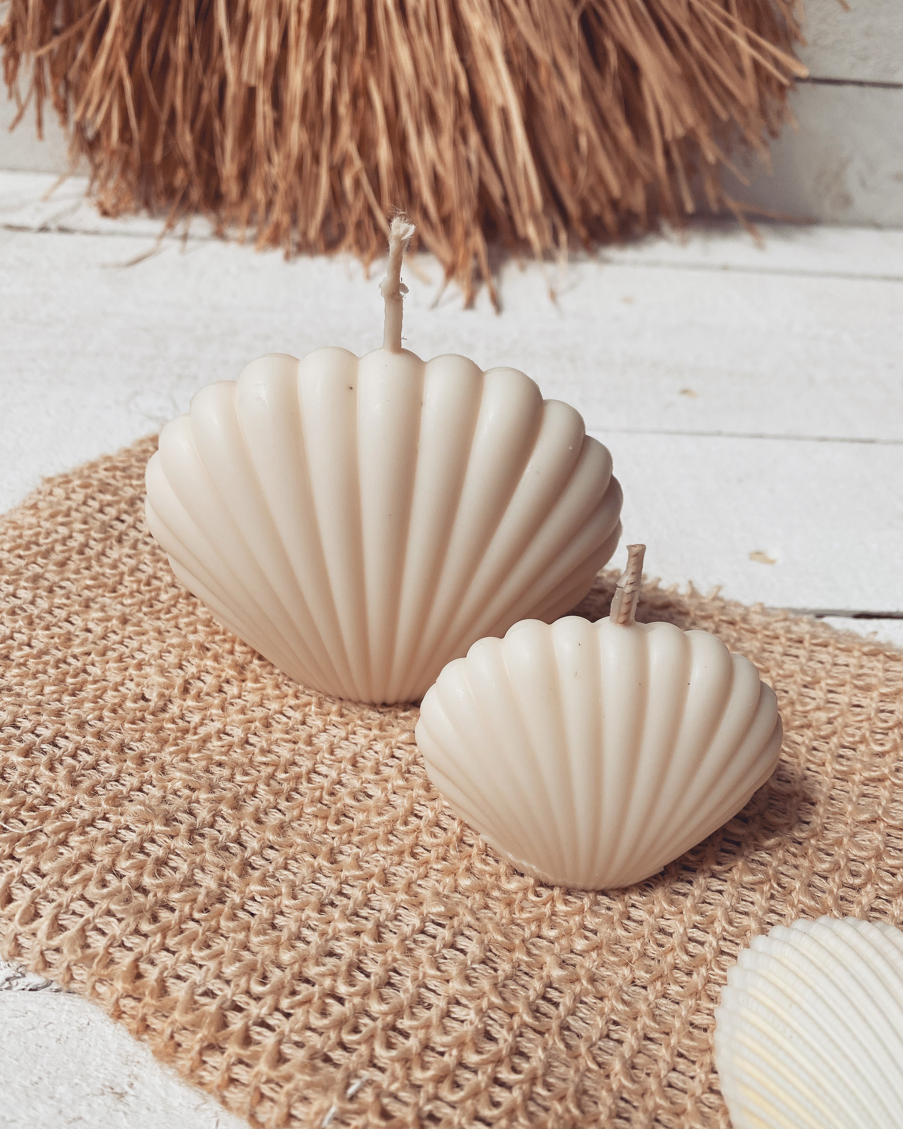 clam shell soy candle set - sea salt + sage