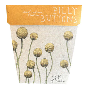 billy button gift of seeds card