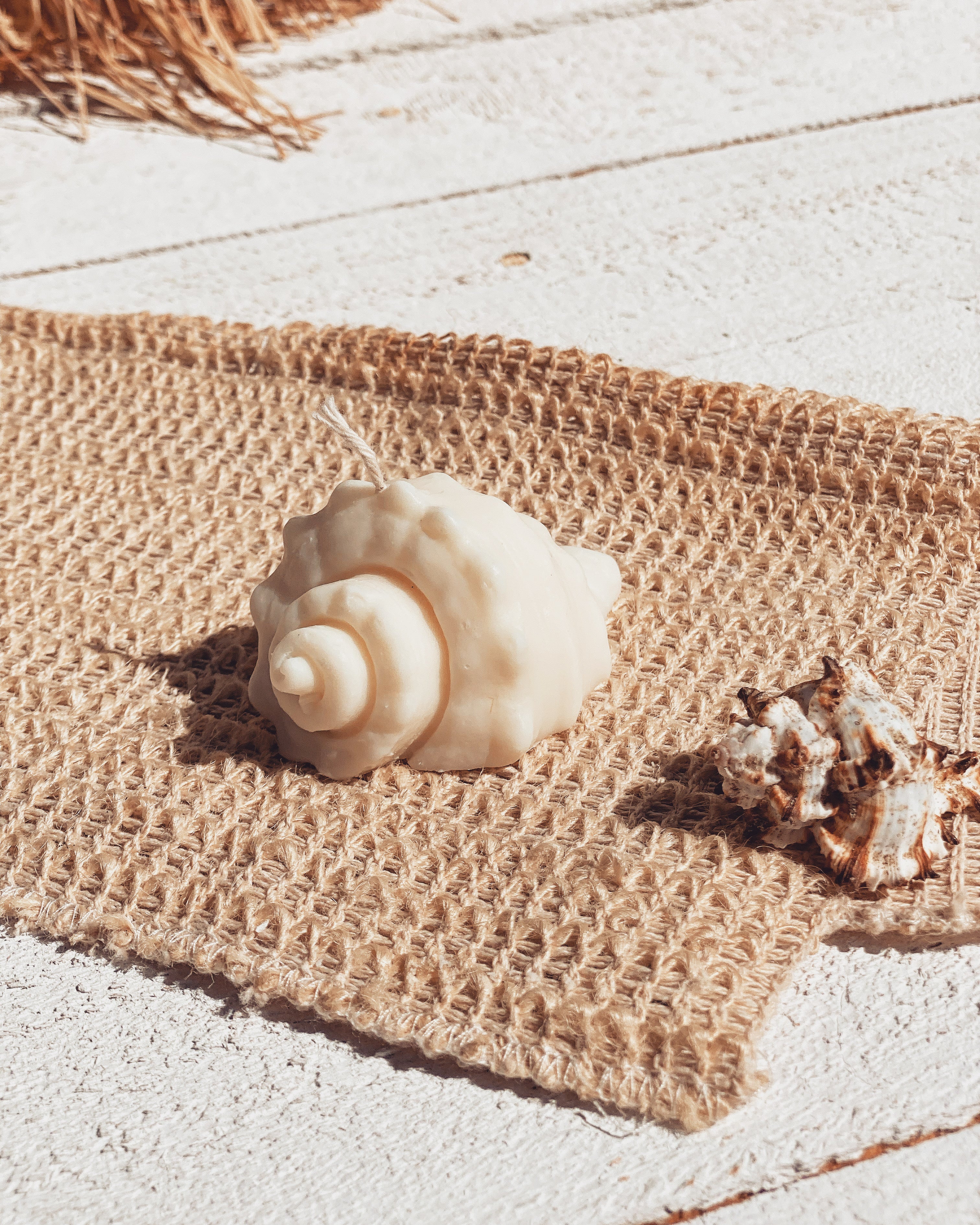 50% OFF | conch shell soy candle - sea salt + sage